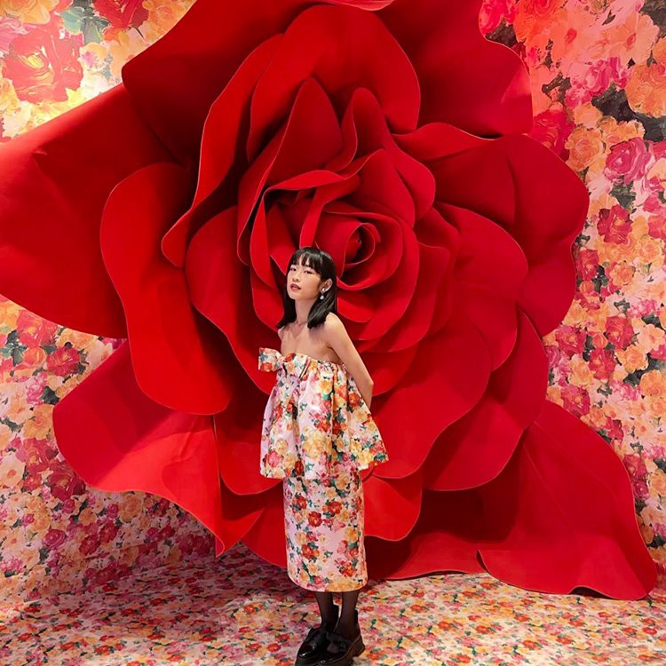 Giant Rose Ozadje rekvizitov